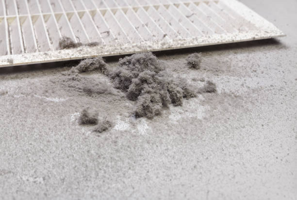 Air Duct Mold Removal in MI