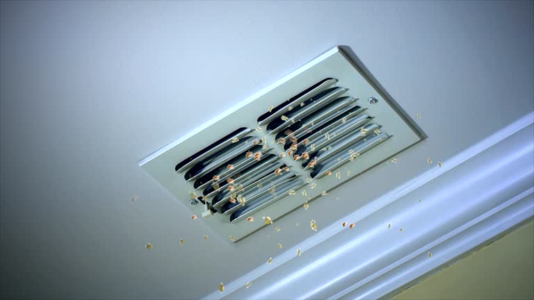 Best HVAC Duct Inspection Services  in Mount Morris, MI