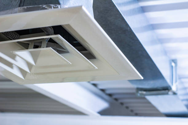 Best Air Vent Cleaning Services  in Mount Morris, MI