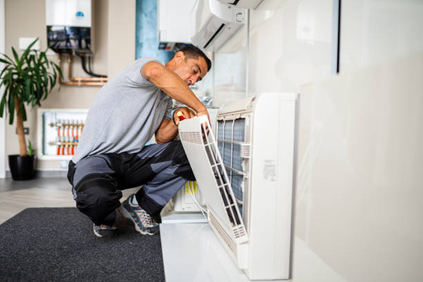Best Local Air Duct Cleaning Services  in Mount Morris, MI