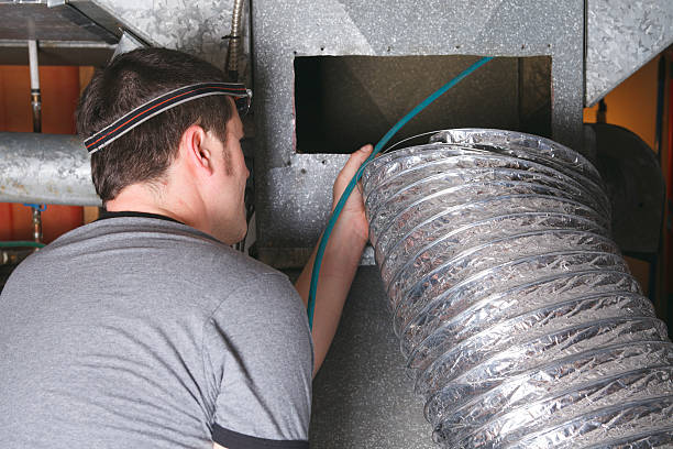 Best Air Duct Mold Removal  in Mount Morris, MI