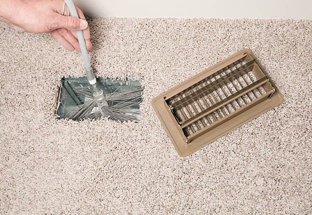 Best Affordable Duct Cleaning Services  in Mount Morris, MI