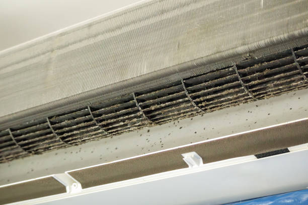 Best Ventilation Cleaning Services  in Mount Morris, MI