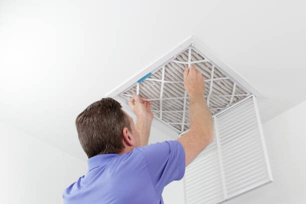 Best Professional Duct Cleaning Services  in Mount Morris, MI